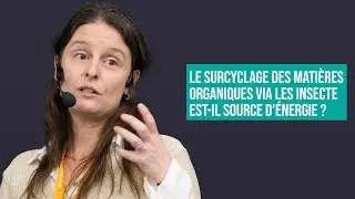 LE SURCYCLAGE DES MATI&Egrave;RES ORGANIQUES VIA LES INSECTES EST-IL SOURCE D'&Eacute;NERGIE ?