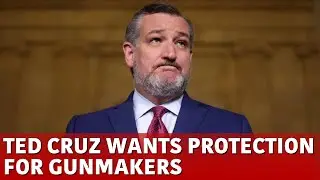 LIVE | Ted Cruz Wants Court To Dismiss Mexico's Lawsuit Against American Gun Manufacturer | N18G