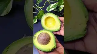 ASMR/Avocado cutting #fruitcutting #satisfying #asmr #youtubeshorts #viralshort #shortsviral #viral