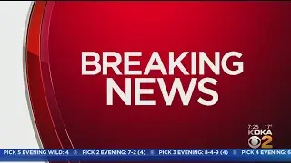 State Trooper Shot During Traffic Stop