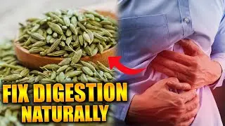 Detox & Gut Health &ndash; Fix Your Digestion Naturally