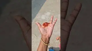 it's viral magic # can you do it  ? but it's funny magic tricks tutorial # fun only