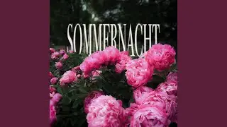 Sommernacht