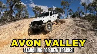 Jeep Limo VS Avon Valley