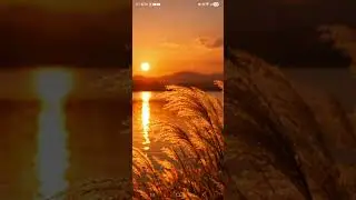그리움| | 피아노연주곡| #에덴동산tv #노을