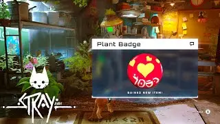 Stray All Plants Location and How to get Plant Badge