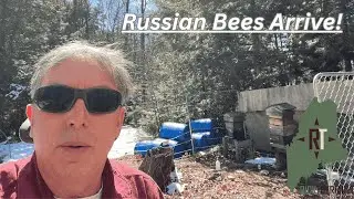 From Real Estate to Real Bees &ndash; Homesteading with Russian Honeybees in Maine