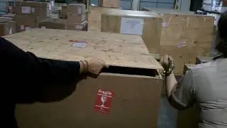 Hunting Trophy Unpacking