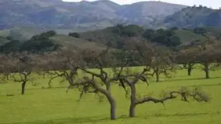 Come Away With Me