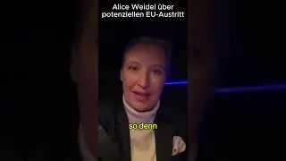 Alice Weidel redet &uuml;ber 