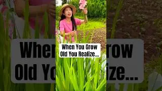 The Happiness We Forget to Notice After 70 #wisdom #elderly #quotes #shorts
