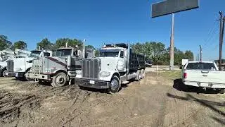 2010 PETERBILT 388 For Sale