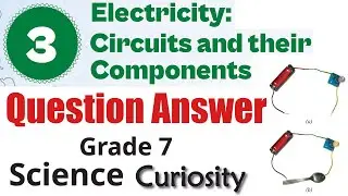 3. Electricity: Circuits and their Components (Question Answer) | Grade 7 Science - Curiosity
