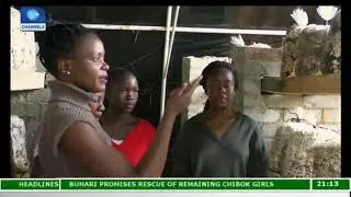 Chido Govera Teaches Young Zimbabwean Women The Art Of Mushroom Farming |Eco@Africa|