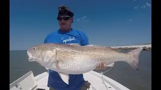 Fishing For Bull Reds And Big Tarpon In St. Augustine Fl.