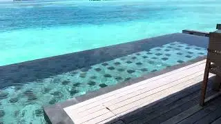 Hilton Maldives Amingiri Resort & Spa (Overwater Pool Villa)