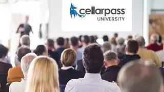 Top 10 Tips to Selling More Wine in 2021!