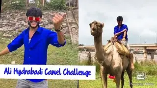 Ali khan Hydrabadi Blog | Camel walking Challenge Accepted | Tiktoker | Famous Tiktoker