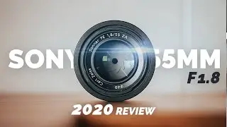 Best CHEAP PRIME Lens? SONY FE 55mm F1.8 Review