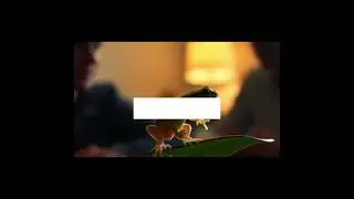 Life cycle of frog#trending#metamorphosis#science activity 