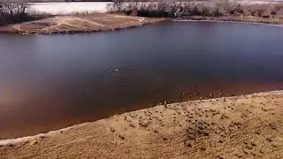 NB Goose Hunt Tournament 2020 - Drone Video