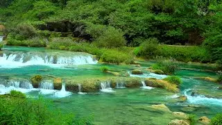 Relaxing Forest River Sounds | Peaceful Turquoise Stream | 10 Hours Sleep