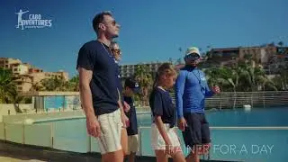 Dolphin Trainer for a Day - Experience Dolphin Training in Cabo San Lucas