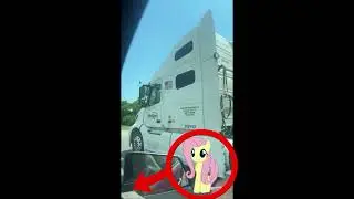 flutterguy.mp4