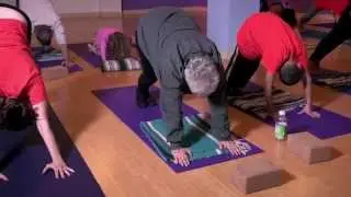 Bloom Yoga & Fooditude (Downward-Facing Dog Pose)
