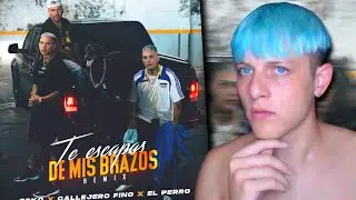 BERTIAKA REACCIONA a ECKO, Callejero Fino, El Perro - Te Escapas De Mis Brazos (Remix)