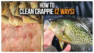 How to Clean Crappie & Get The Most Meat