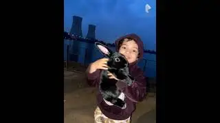 Black Rabbit 🐇 #trendingshorts #viralshort #aigenerated #views #plz_subscribe_my_channel