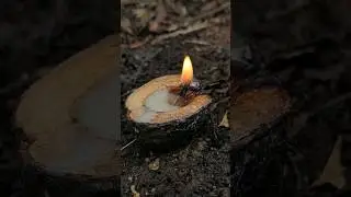 Making a deer tallow candle 🦌🕯