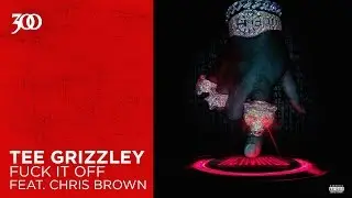 Tee Grizzley - Fuck It Off (feat. Chris Brown) | 300 Ent (Official Audio)