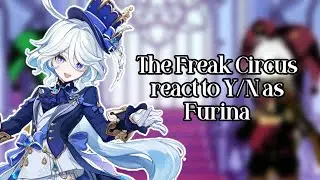 🎪The Freak Circus react to Y/N as Furina || 2x || 1/?