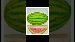 Watermelon Drawing with Soft Pastel Colours #shorts #drawing #fruitdrawing