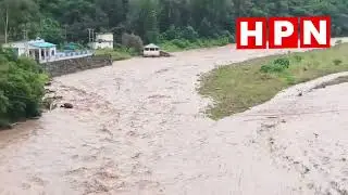 कुनिहार: भारी बारिश से गंभर खड्ड उफान पर | Solan Rain Update | Monsoon 2025