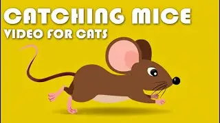 CAT GAMES - Catching Mice! Entertainment Video for Cats to Watch 🐭🐱