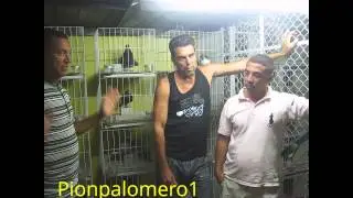 Palomiando con Ferrer, Pedrito, Maikel y Tito en Guanabacoa.