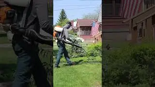 Come to a job with us! Lawn Doctor Mosquito Control Program!  #healthylawn #lawncare #lawntips