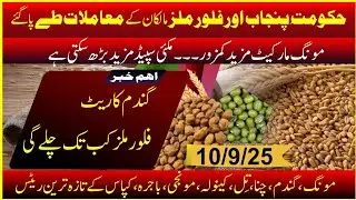 September 10, 2025 wheat report l Govt vs Mills l Atta rate l Moong updated today l Guar price