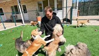When Tails Wag with Joy &mdash; Life at Love Furry Friends.
