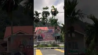 Balik Pulau #shortsfeed #muslibahari #balikpulau