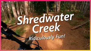 Shredwater Creek - Wild Mersey Sheffield