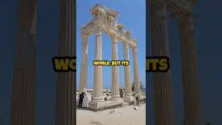 Top 5 Amazing Facts About Egypt! 🇪🇬 #EgyptFacts #UniqueEgypt #ExploreEgypt