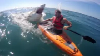 100 Craziest Shark Encounters Caught on Camera