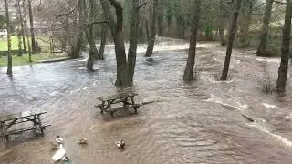 One last look at the Flooding in Low Bradfield, 20/2/2022