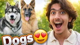 I want a dog 😍 | dog KY ghar ka design dhundh Raha hun. #vlog #fun #dog 