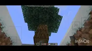 minecraft best tree trap