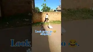 LOL/FUNNY GEESE CHASING PEOPLE/#nature #goose #shorts#birds